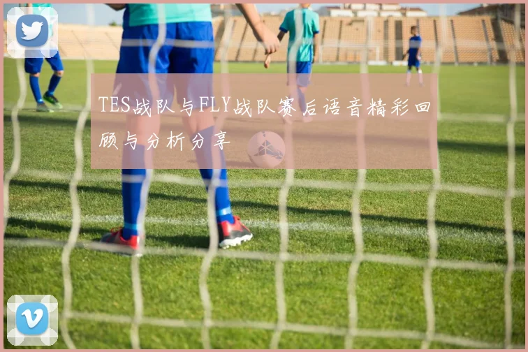 TES战队与FLY战队赛后语音精彩回顾与分析分享