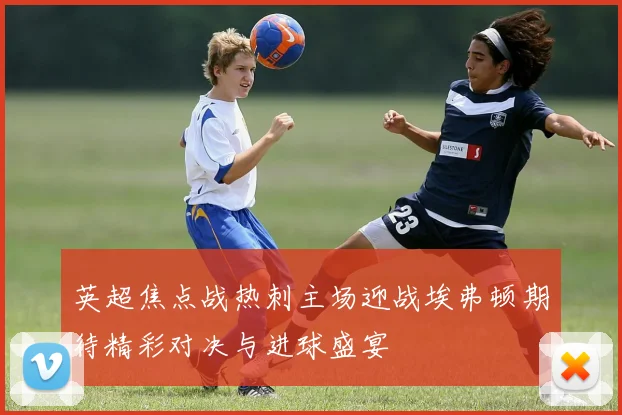 英超焦点战热刺主场迎战埃弗顿期待精彩对决与进球盛宴
