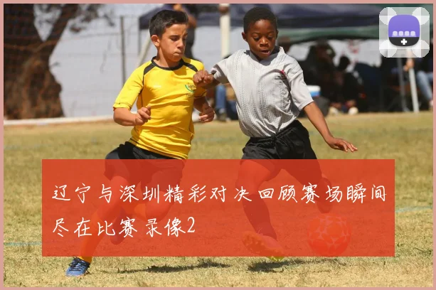 辽宁与深圳精彩对决回顾赛场瞬间尽在比赛录像2