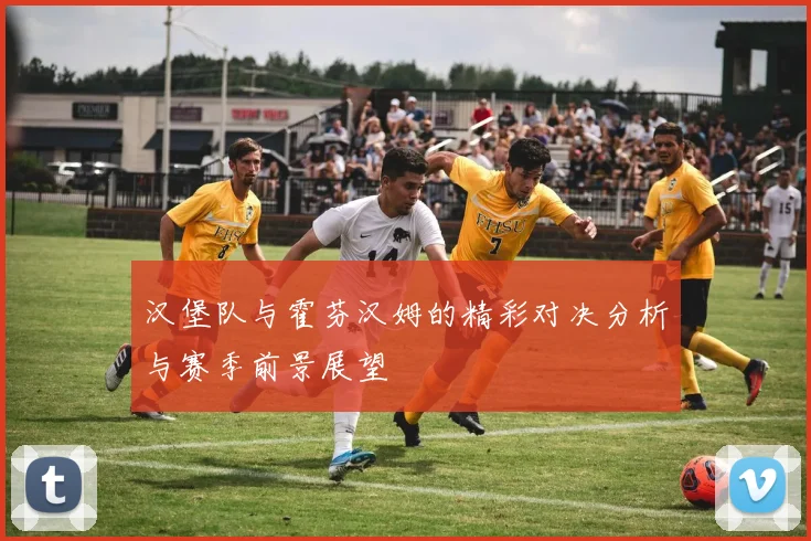 汉堡队与霍芬汉姆的精彩对决分析与赛季前景展望